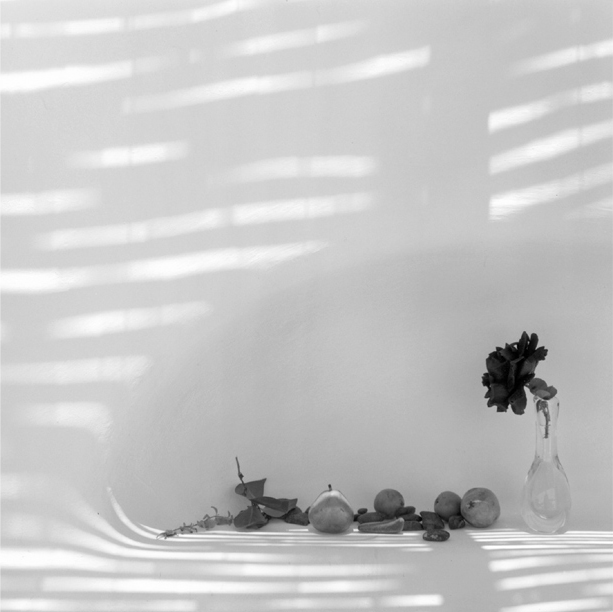 o William Abranowicz στο Athens House of Photography